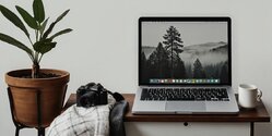 Онлайн-обучение на Кипре сокращается и остается одним из самых низких в ЕС