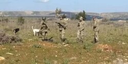 О конфликте с турецкими военными в буферной зоне Кипра будет сообщено ЕС