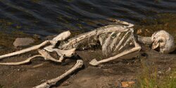 Череп и кости, найденные в Пафосе, принадлежали пропавшей без вести британке
