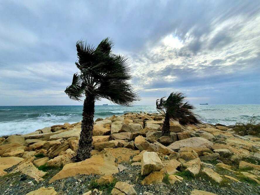 Ливни, грозы, сильный ветер: ночью на Кипр обрушится непогода
