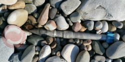 Отдыхающие на пляже Пафоса нашли боеприпас для гранатомета