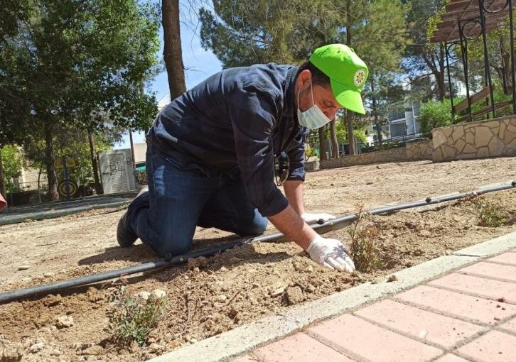 Экологи высадили на Кипре более 19 500 деревьев