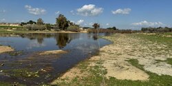 Экологическое движение Кипра обеспокоено утечкой сточных вод и навоза в плотину Ахнас