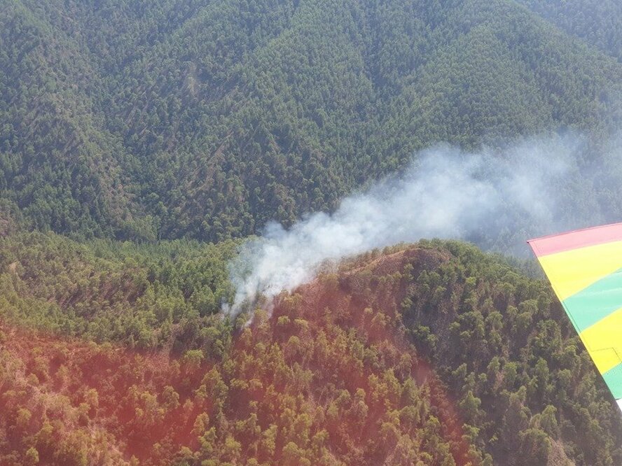 Департамент лесного хозяйства обвинил управление электроэнергетики  в летних пожарах на Кипре