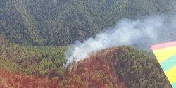 Департамент лесного хозяйства обвинил управление электроэнергетики  в летних пожарах на Кипре