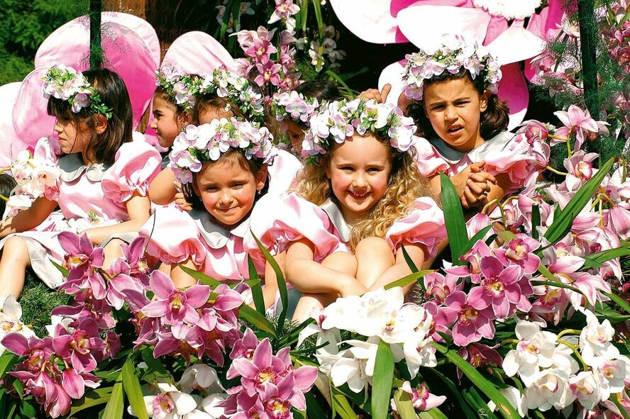 6 мая на Кипре должен был пройти традиционный фестиваль цветов