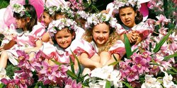 6 мая на Кипре должен был пройти традиционный фестиваль цветов 