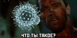 Внимание, на Кипре обнаружили новый гибридный штамм коронавируса 