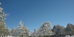 На Кипре сегодня выпал первый снег!