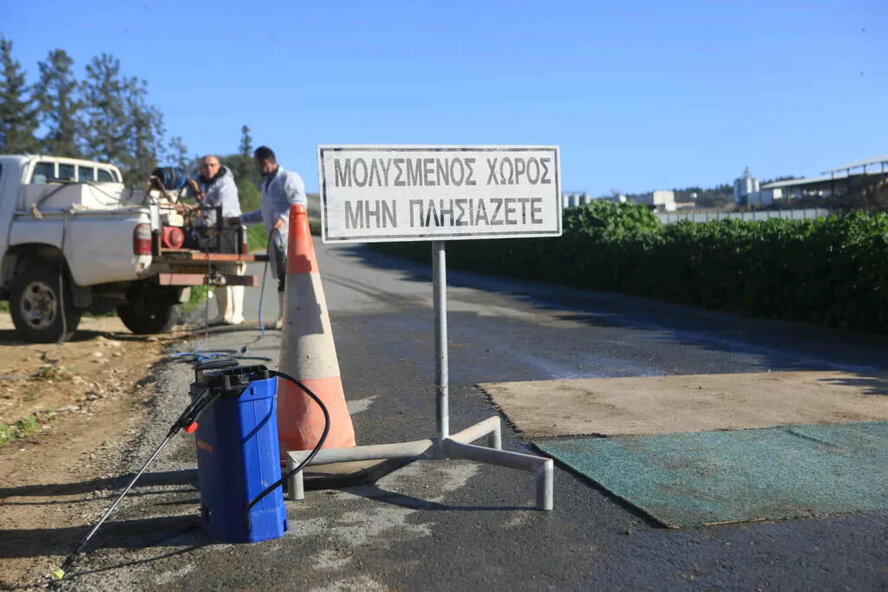 На Кипре введен строгий карантин в связи с распространением ящура