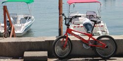 Жители Лимассола смогут бесплатно покататься на велосипеде