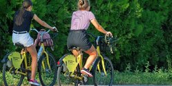 Партия Зеленых призвала отменить закон, обязывающий велосипедистов носить шлемы