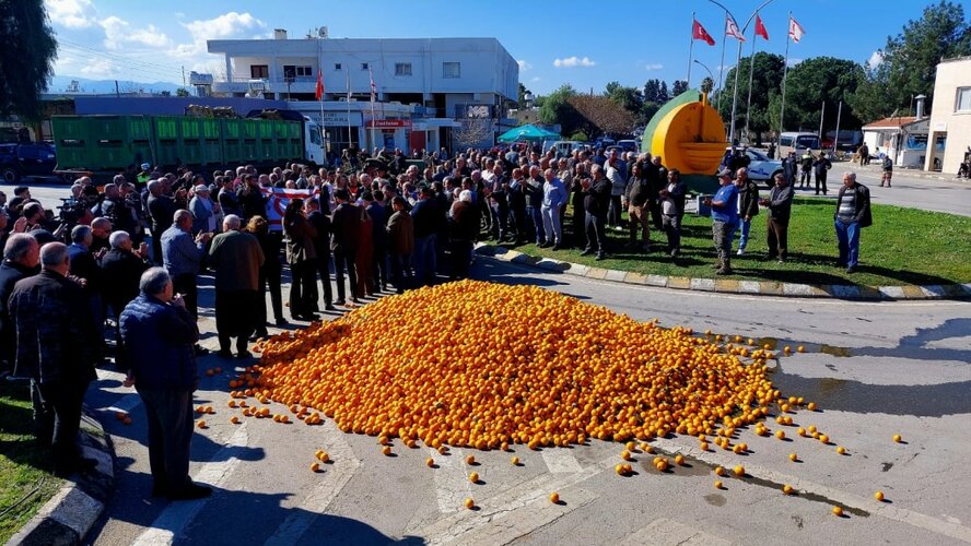 Фермеры, выращивающие апельсины в Морфу устроили акцию протеста