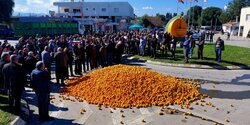 Фермеры, выращивающие апельсины в Морфу устроили акцию протеста