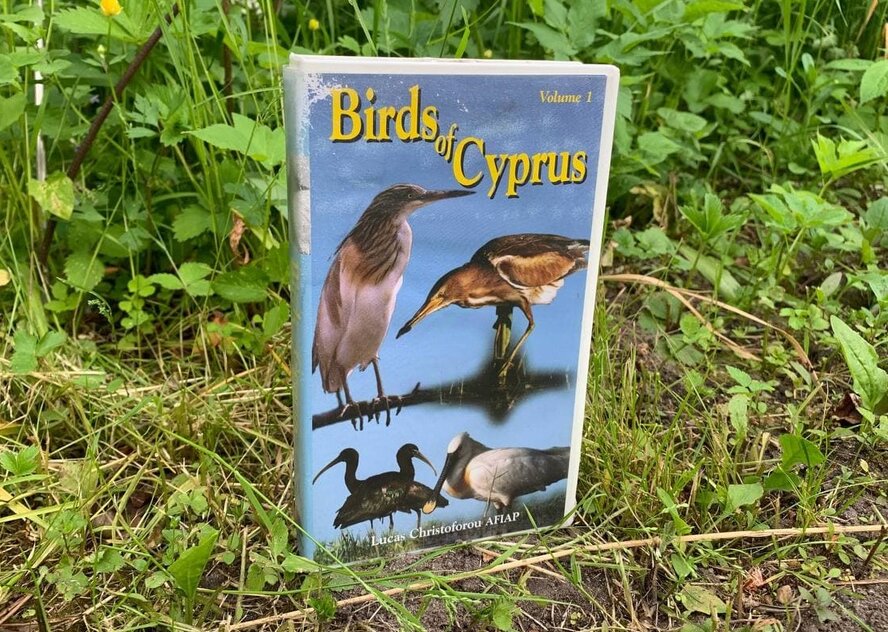 Раритетный сериал 1997 года «Птицы Кипра» впервые в цифровом формате