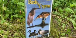 Раритетный сериал 1997 года «Птицы Кипра» впервые в цифровом формате