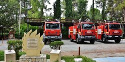 Департамент лесного хозяйства: для тушения пожаров на Кипре необходимо больше техники