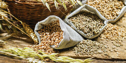 На Кипре хватит зерна еще на 30 дней!