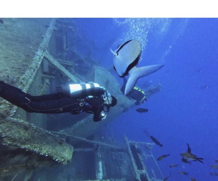 Проникаем в мир кипрских дайверов, пока они проникают в подводный мир