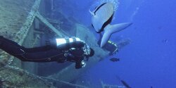 Проникаем в мир кипрских дайверов, пока они проникают в подводный мир