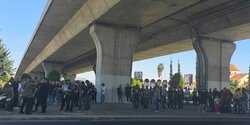 На Кипре прошли протесты охотников