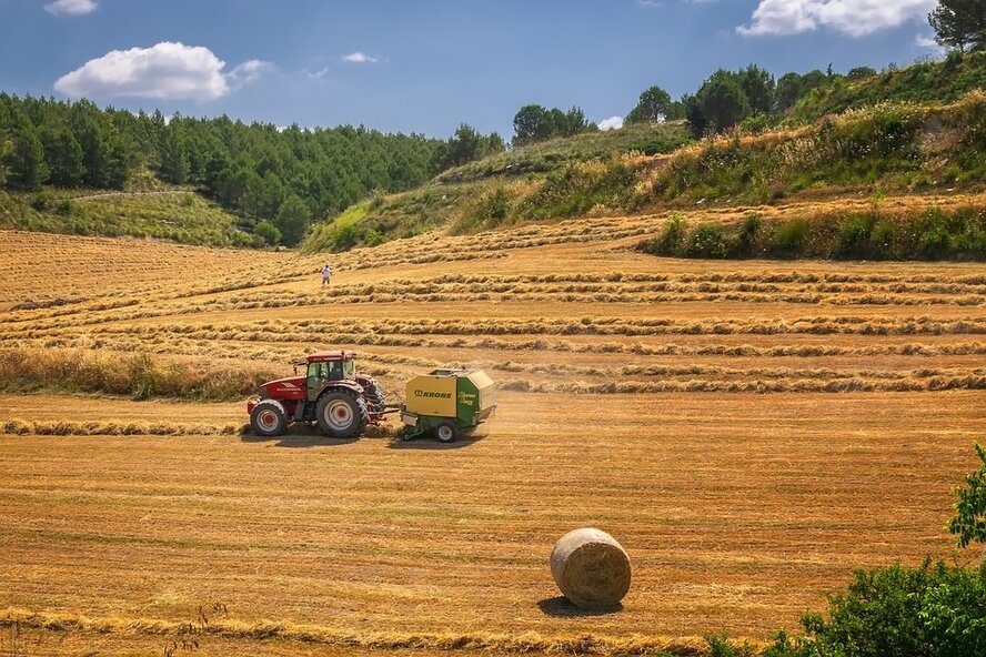 Киприоты считают, что государство обязано поддерживать местных фермеров
