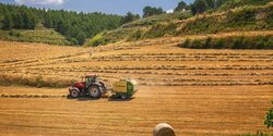 Киприоты считают, что государство обязано поддерживать местных фермеров