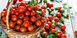 Фестиваль томатов в Парекклисии: праздник вкуса, традиций и музыки — уже 22 июня!
