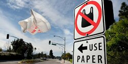 С 18 февраля Кипр откажется от пластиковых пакетов