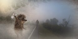 Кипр накроет пылью и туманом