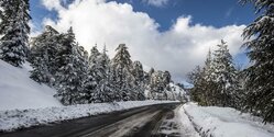 Жители Кипра массово едут в Троодос, чтобы посмотреть на снег