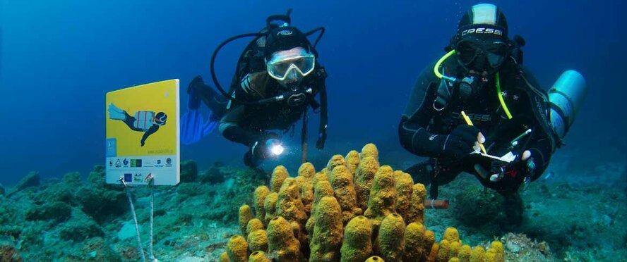 Кипр вводит новые правила для дайвинг-туризма