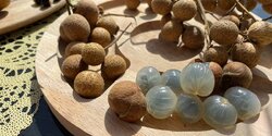 Экзотический фрукт Кипра — лонган