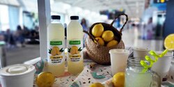 Hermes Airports запустил продажу домашнего лимонада из лимонов, которые растут на территории аэропорта Ларнаки