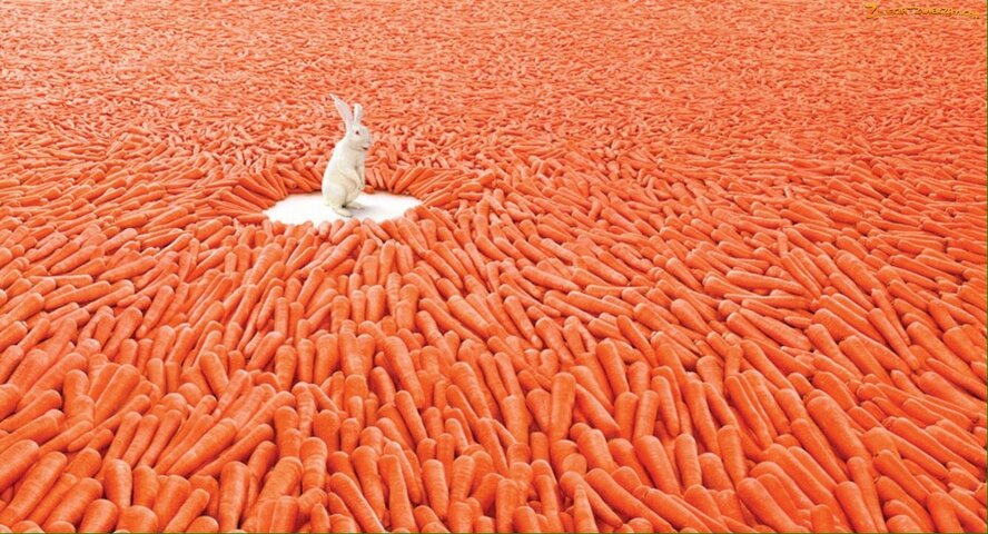 На Кипре в Лиопетри пройдет 2-й фестиваль моркови