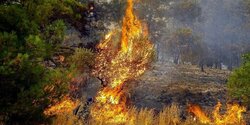 На Кипре объявлен красный уровень пожарной опасности