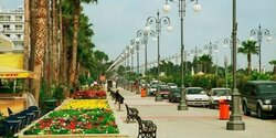 Ларнака присоединилась к «сети зеленых городов»
