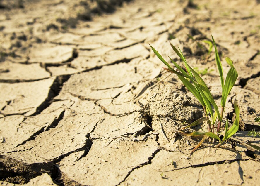 В этом году Кипру может грозить засуха!
