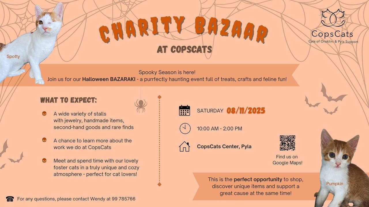 Хэллоуин-маркет в CopsCats