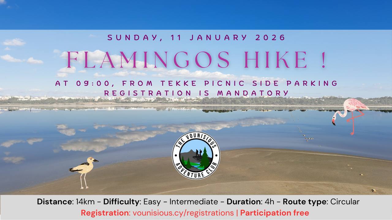 Поход к фламинго