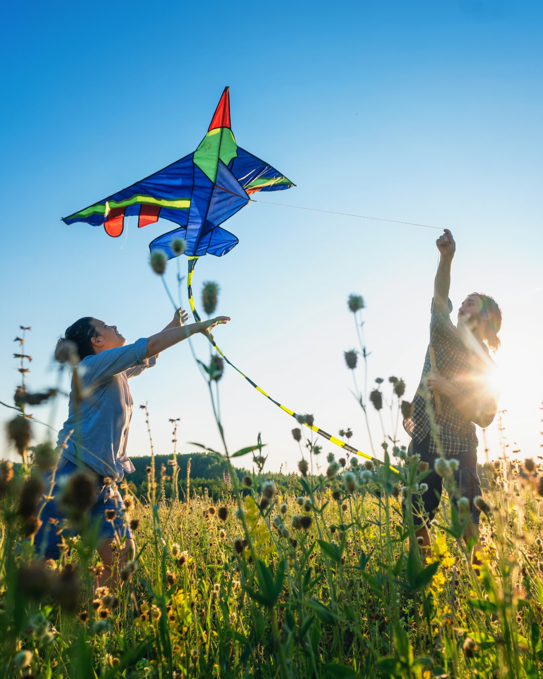 Зеленый понедельник в парке Cyherbia