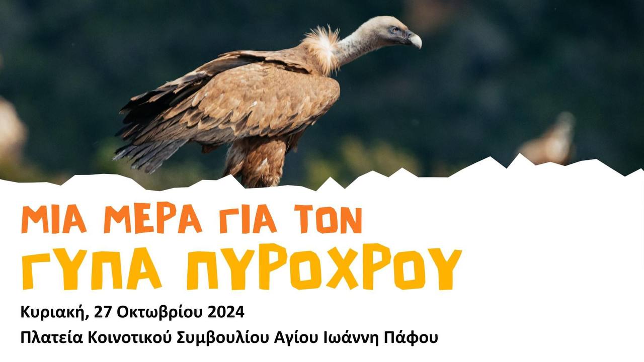 Выставка о жизни грифов Выставка о жизни грифов