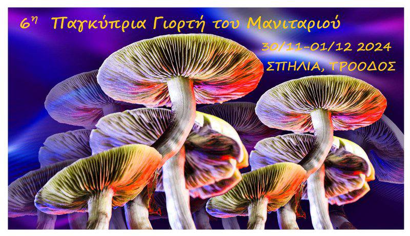 Грибной фестиваль