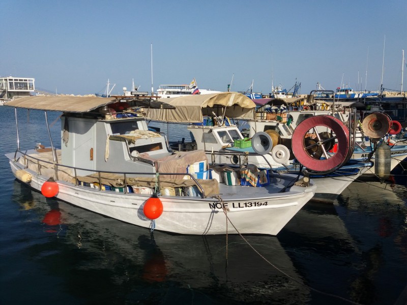 Особенности рыбалки на Кипре. С картинками и кратким экскурсом в экономику.: фото 9