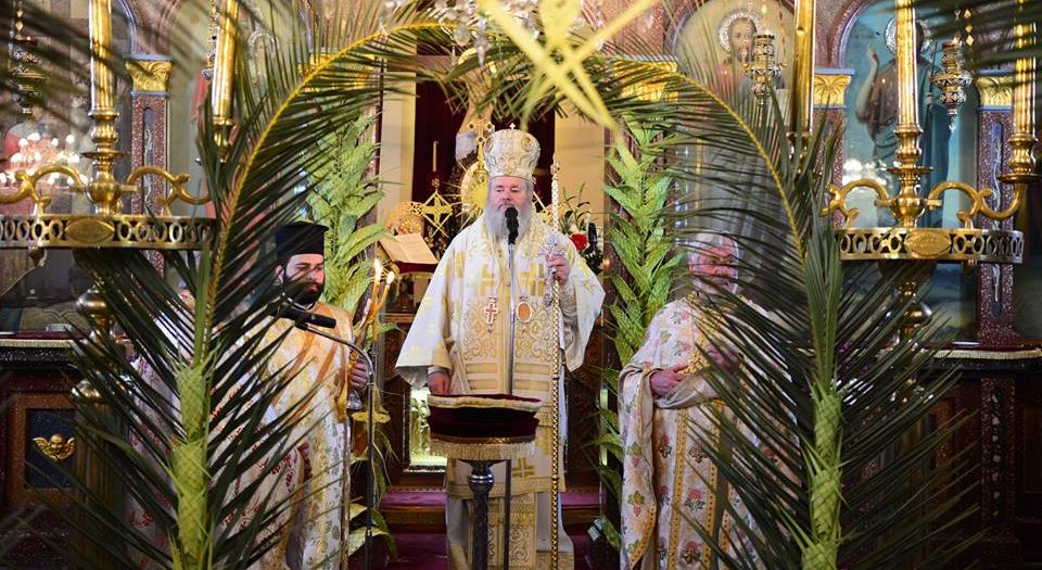 В эти выходные православные Кипра отметят Лазареву субботу и вербное воскресенье : фото 5