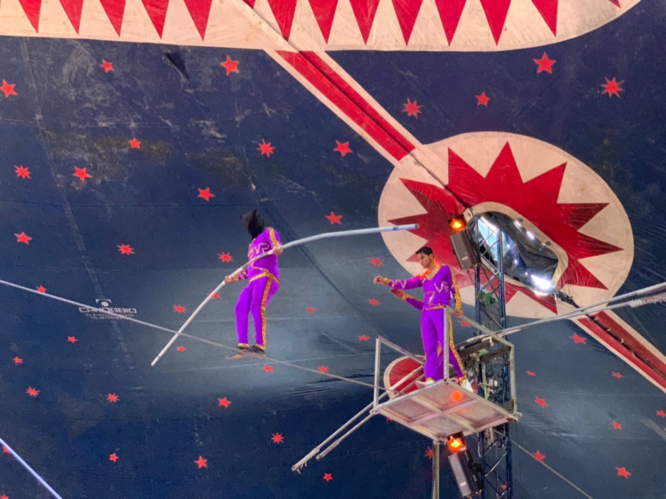 Цирковое шоу в Лимассоле, которое нельзя пропустить!: фото 4