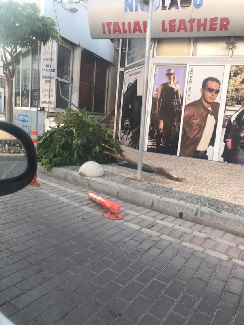 У отдыхающих на Кипре новая забава под названием "Сломай дерево!": фото 8