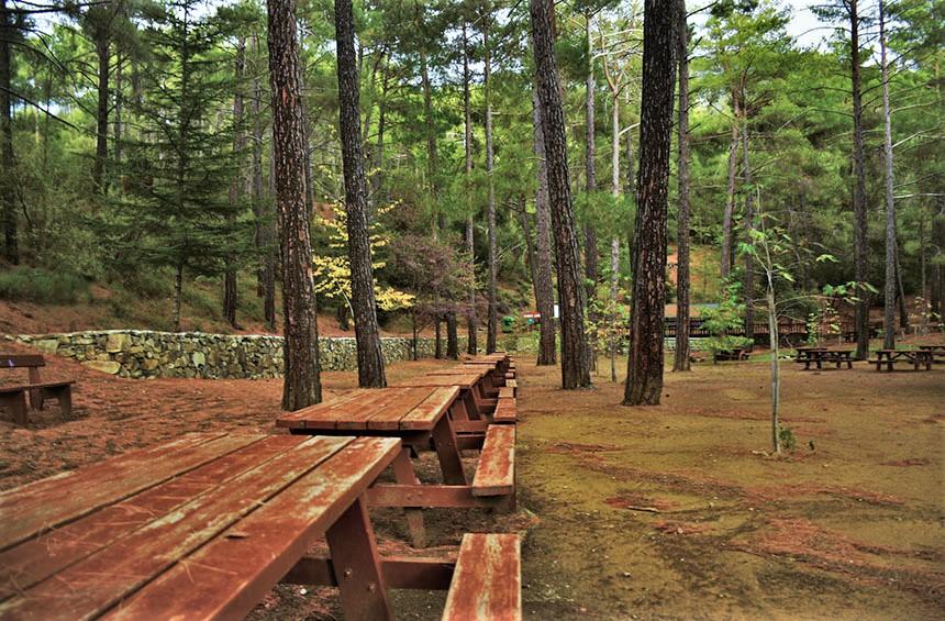Лучшая лесная зона на Кипре для пикника по-осеннему: фото 3