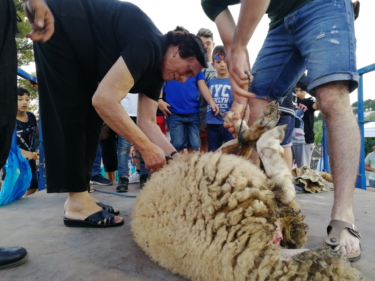 Фестиваль Пастухов в Пахне. Блог рассказ: фото 39