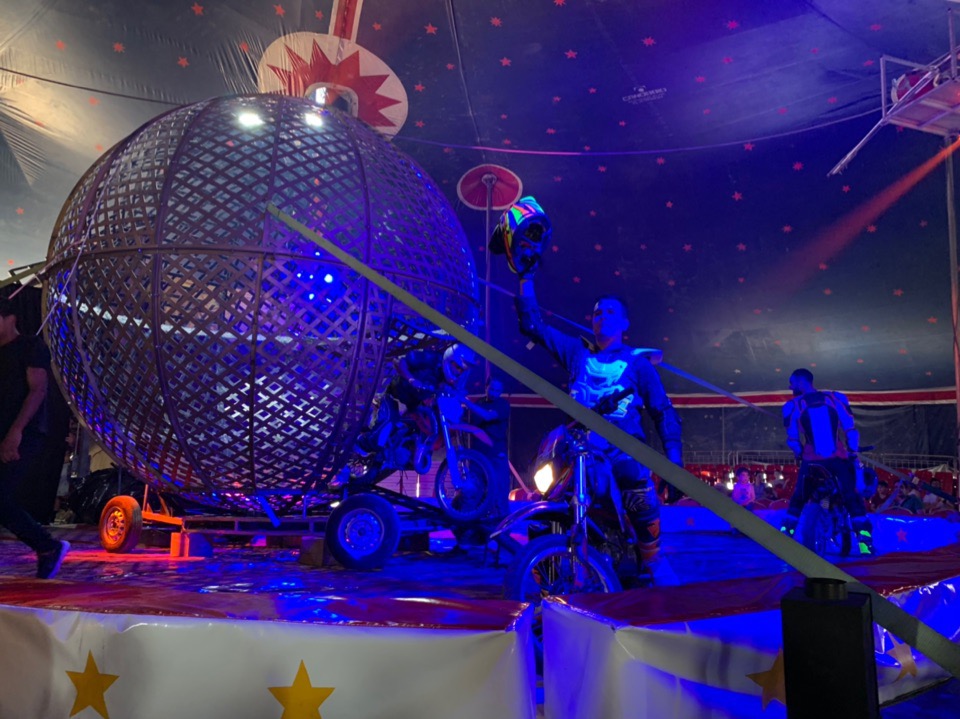 Цирковое шоу в Лимассоле, которое нельзя пропустить!: фото 16